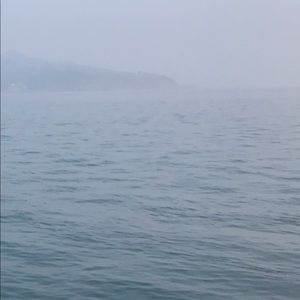 Meet your Posher, Elaine